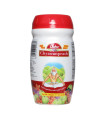 Dabur Chyawanprash - 500g