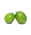 Veg - Kola (Ash Gourd) 1pc (1to1.5kg)