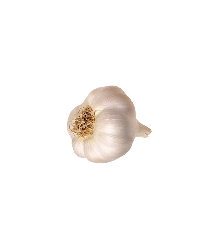 Garlic 1 Bulb Garlic 1 Bulb