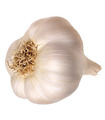 Veg - Garlic 1 Bulb