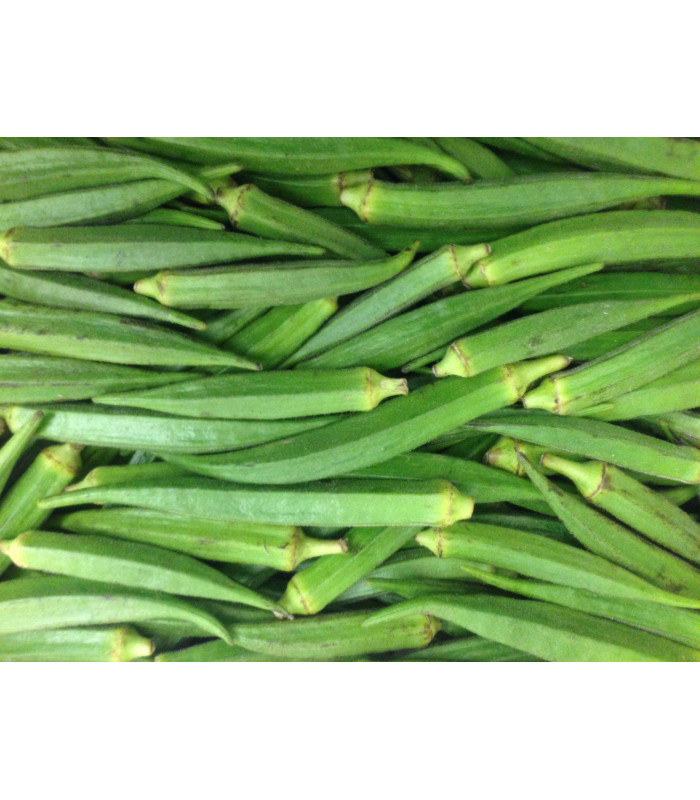 Fresh Okra (Bhindi) - 250g Fresh Okra (Bhindi) - 250g