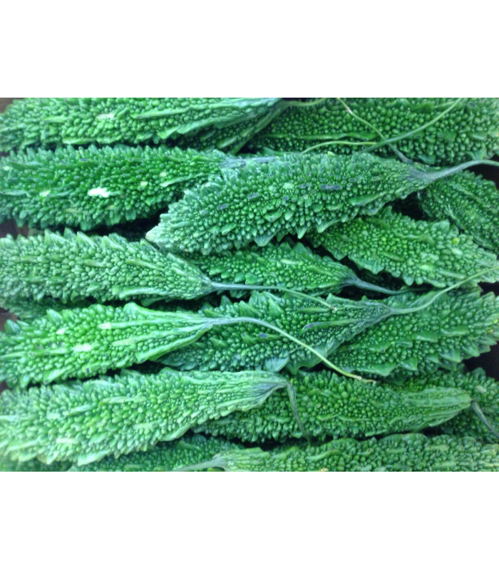 Fresh Bitter Gourd (Karela) - 250g Fresh Bitter Gourd (Karela) - 250g
