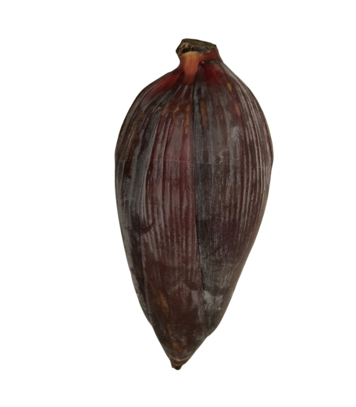 Banana Flower Banana Flower