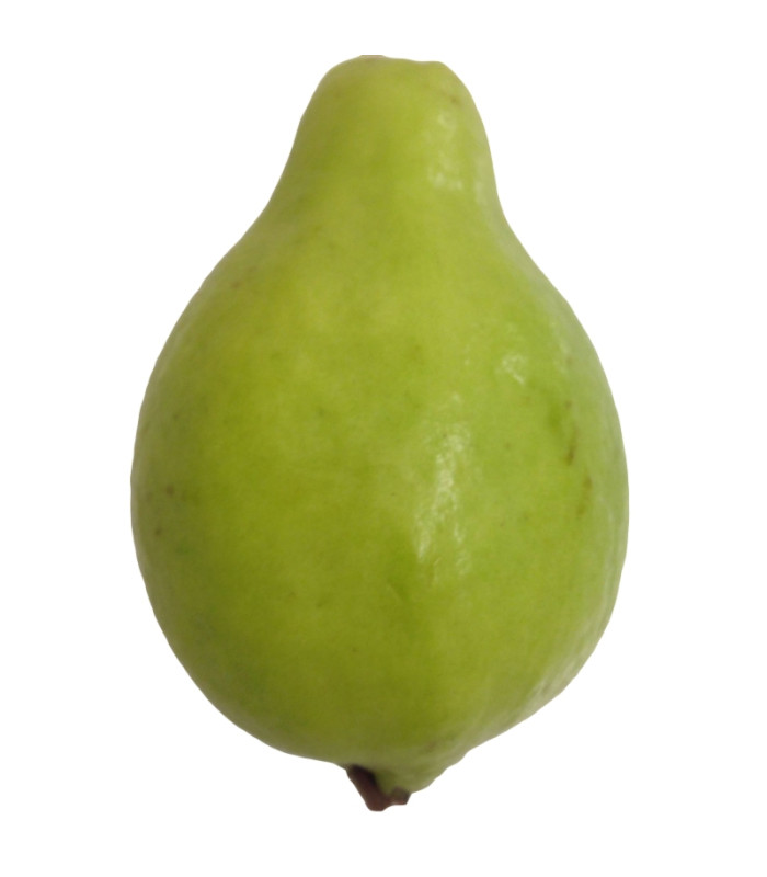 Fresh Guava - 1Pc Fresh Guava - 1Pc