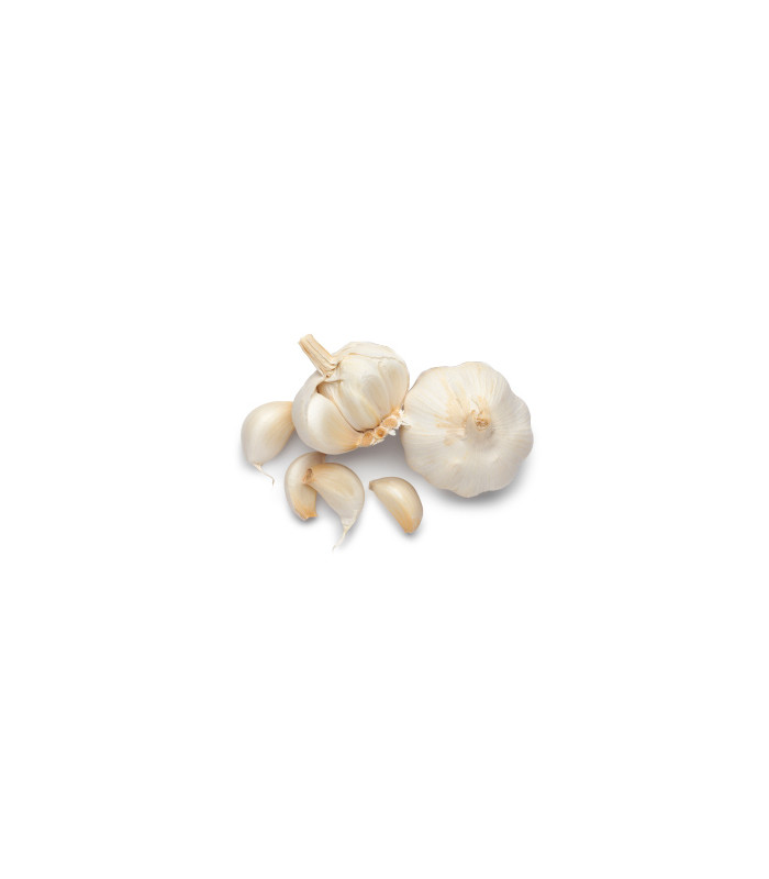 Fresh Garlic (Free) Fresh Garlic (Free)